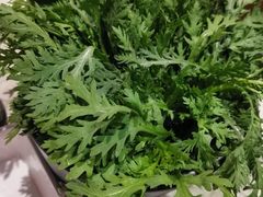 -千味涮·健康火锅(会展连城新天地店)