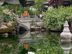 -趵突泉景区