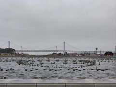 -星海广场