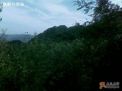-阳台山自然风景区