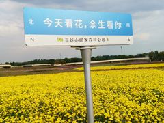 -江苏三台山国家森林公园