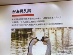 -陆记鹅庄·潮汕菜·狮头鹅(大仟里店)