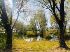 -野鸭湖国家湿地公园