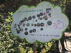 -杭州少年儿童公园