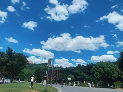 -牛首山文化旅游区