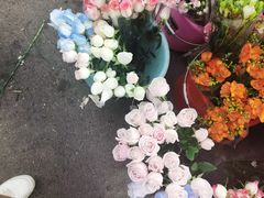 -循礼门鲜花花市(武汉循礼门店)