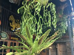 -普吉镇