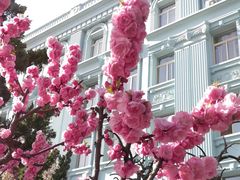 -北京信息科技大学(小营校区)