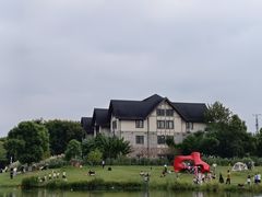 -洋湖国家湿地公园