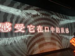 -地球美食剧场