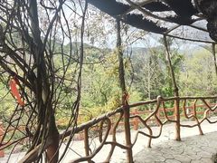 -磐安舞龙峡景区