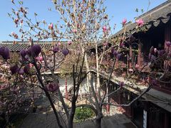 -苏州文旅花间堂·探花府酒店
