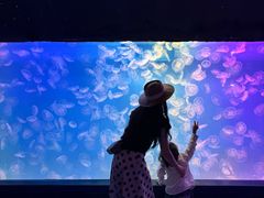 -左海海底世界