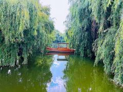 -月亮湾湿地公园