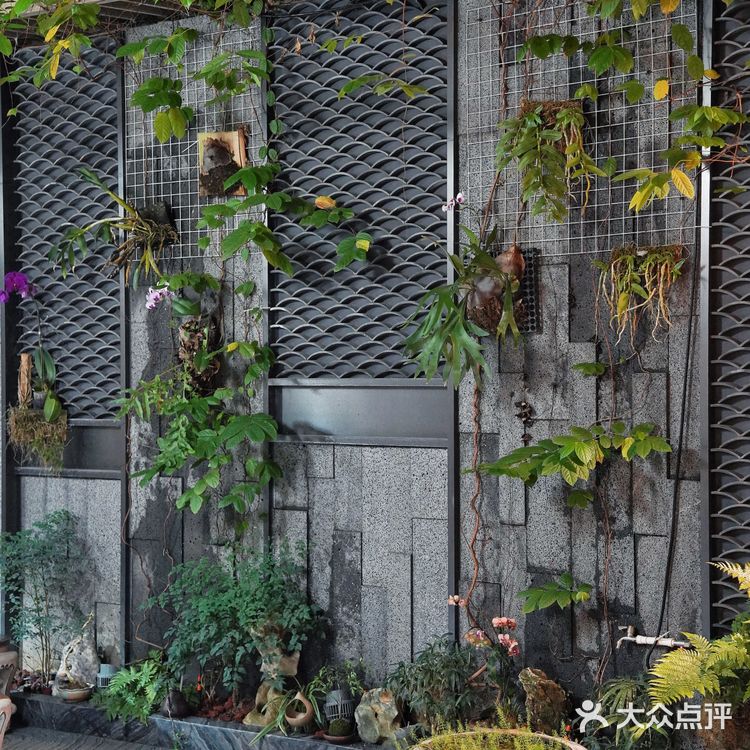 走‼️跟我去佛山素食馆吃“肉”去‼️ 