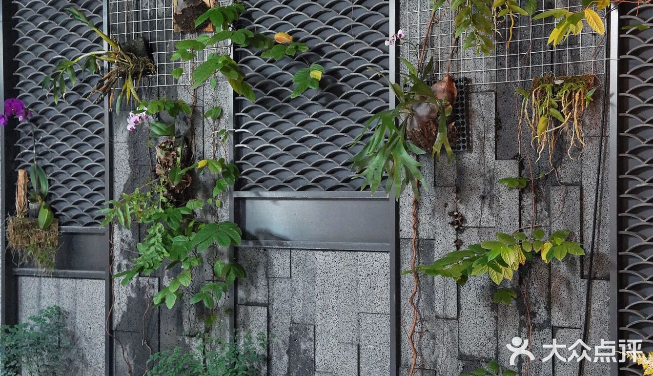 走‼️跟我去佛山素食馆吃“肉”去‼️ 