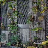 走‼️跟我去佛山素食馆吃“肉”去‼️ 