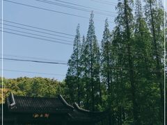 -上海醉白池公园