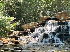 -北京野生动物园