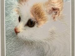 -湖南湘绣博物馆