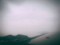 -洋山深水港