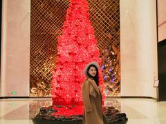 -深圳国际会展中心洲际酒店