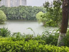 -皇粮浜湿地公园