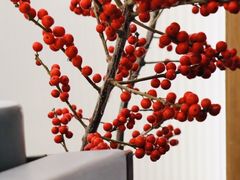 大堂-Onirii Coffee(长乐路店)