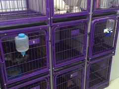 爱雅宝贝动物医院-中农大我爱我爱24h动物医院·中医针灸·猫专科·骨科医疗中心(双井店)