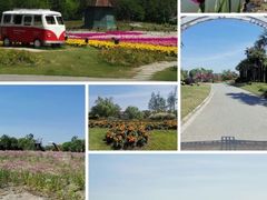 -花开海上生态园