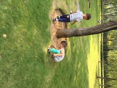 济南森林公园-济南森林公园