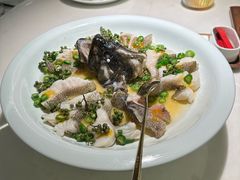 青青椒麻龙胆鱼-CHIC1699远洋私厨
