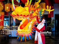 -禧宴Joyous Restaurant(禧园店)
