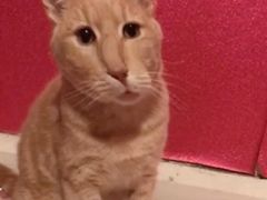 -Jazcu珍仕菓鲜榨果汁(西单大悦城店)