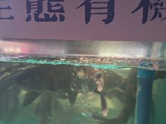 -鸽子侯·家宴·平价海鲜(市图书馆店)