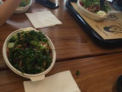 -油梨树 AVOCADO TREE(亮马桥店)
