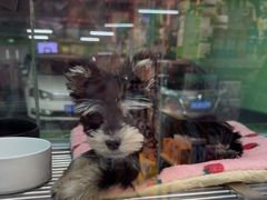 -FAELING PETS美天灵宠物(合生汇店)