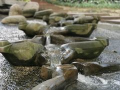 -成都市活水公园