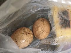 -金盆阿嬷香菇茶叶蛋(玄光店)