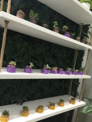 点击看大图 -悦诗风吟innisfree