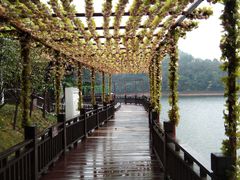 -石燕湖生态旅游景区