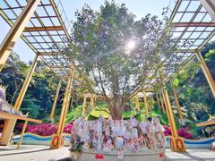 -西双版纳勐泐文化旅游区