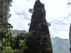 -雁荡山风景名胜区