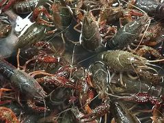 -拙味兄弟龙虾·江湖菜(和畅堂店)