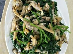 -渔家小院观海海肠捞饭地方菜(环海中路店)