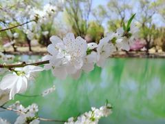 -颐和园