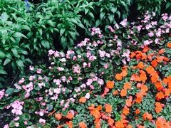 畅观楼-北京动物园-畅观楼