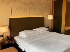 -上海崇明金茂凯悦酒店