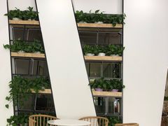 -苍轩跆拳道馆(望京店)