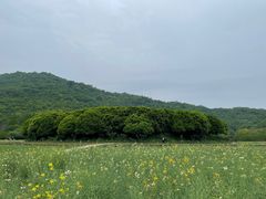 -八卦田遗址公园